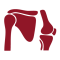 IconOrthoLabs